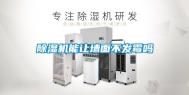 除湿机能让墙面不发霉吗