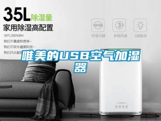 知识百科唯美的USB空气加湿器