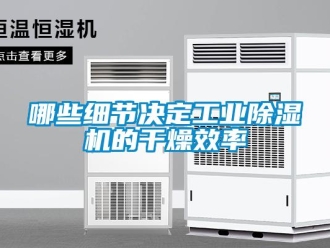 行业新闻哪些细节决定工业除湿机的干燥效率