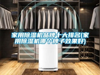 企业新闻家用除湿机品牌十大排名(家用除湿机哪个牌子效果好)