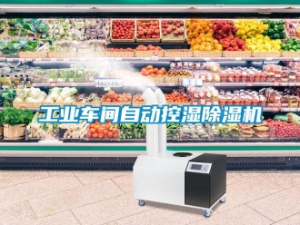 企业新闻工业车间自动控湿除湿机