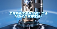 怎样挑选工业除湿机？工业除湿机厂家哪家强？