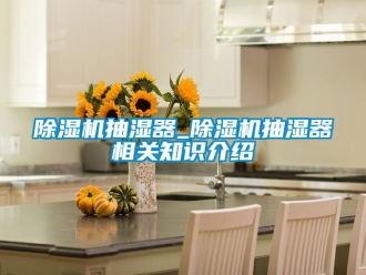 企业新闻除湿机抽湿器_除湿机抽湿器相关知识介绍