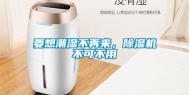 要想潮湿不再来，除湿机不可不用