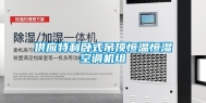 供应特利卧式吊顶恒温恒湿空调机组