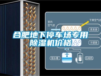 企业新闻合肥地下停车场专用除湿机价格