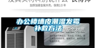 办公楼墙皮潮湿发霉补救方法