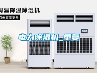行业新闻电力除湿机_重复