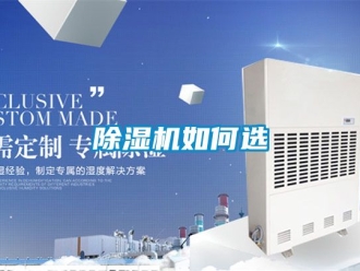 行业新闻除湿机如何选