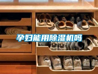 行业新闻孕妇能用除湿机吗
