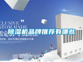 企业新闻除湿机品牌推荐有哪些