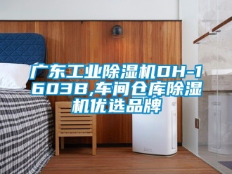 常见问题广东工业除湿机DH-1603B,车间仓库除湿机优选品牌