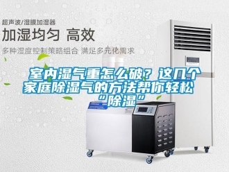 企业新闻室内湿气重怎么破？这几个家庭除湿气的方法帮你轻松“除湿”