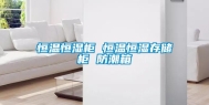 恒温恒湿柜 恒温恒湿存储柜 防潮箱
