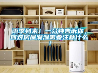 知识百科雨季到来！一分钟告诉你，应对房屋潮湿需要注意什么！