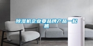 除湿机企业要品牌产品一起抓