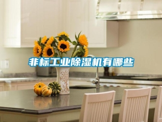 企业新闻非标工业除湿机有哪些