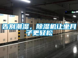 企业新闻告别潮湿，除湿机让坐月子更轻松