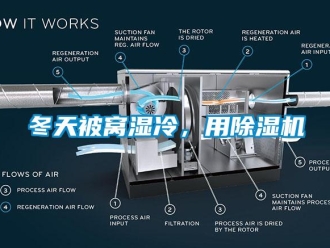 企业新闻冬天被窝湿冷，用除湿机