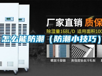 常见问题怎么能防潮（防潮小技巧）