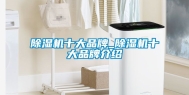 除湿机十大品牌_除湿机十大品牌介绍