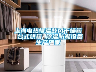 知识百科上海电热恒温鼓风干燥箱 台式烘箱 除湿防潮设备生产厂家