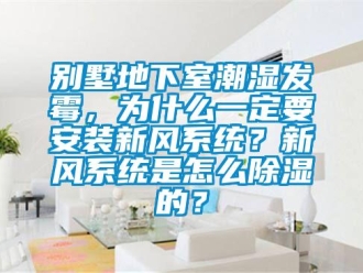 企业新闻别墅地下室潮湿发霉，为什么一定要安装新风系统？新风系统是怎么除湿的？