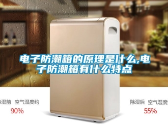 常见问题电子防潮箱的原理是什么,电子防潮箱有什么特点