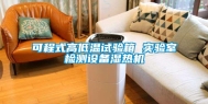 可程式高低温试验箱 实验室检测设备湿热机