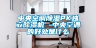 中央空调除湿PK独立除湿机 -中央空调的好处是什么