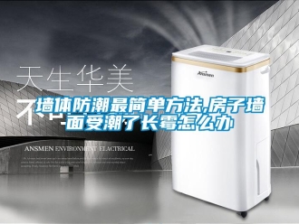 常见问题墙体防潮最简单方法,房子墙面受潮了长霉怎么办