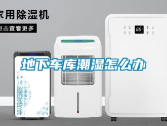 企业新闻地下车库潮湿怎么办