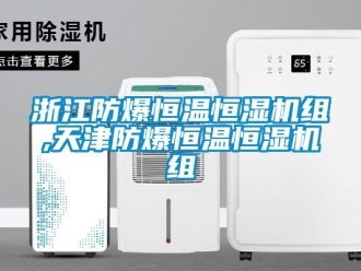 知识百科浙江防爆恒温恒湿机组,天津防爆恒温恒湿机组