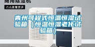 青州可程式恒温恒湿试验箱（恒温恒湿老化试验箱）