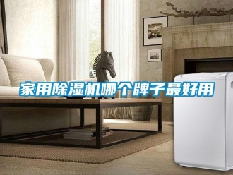 常见问题家用除湿机哪个牌子最好用