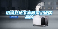 绥棱县地下室除湿机优质品牌