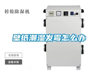 常见问题壁纸潮湿发霉怎么办