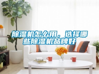 企业新闻除湿机怎么用，选择哪些除湿机品牌好