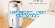 吊装蒸汽去除机，吊装蒸汽快速去除装置