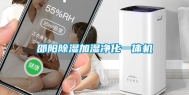 邵阳除湿加湿净化一体机