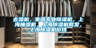 去湿机，家庭专业除湿机，上海抽湿机，上海除湿机批发，上海除湿机价钱