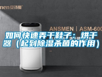 行业新闻如何快速弄干鞋子：烘干器（起到除湿杀菌的作用）