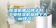 除湿机哪个牌子好（工业除湿机品牌十大排名）