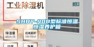 SHBY-40B型标准恒温恒湿养护箱