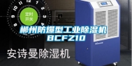 郴州防爆型工业除湿机 BCFZ10