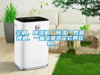 行业新闻空调，除湿机“除湿”各显神通，一篇文章搞定它两区别