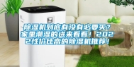 除湿机到底有没有必要买？家里潮湿的进来看看！2022性价比高的除湿机推荐！