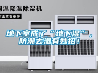 企业新闻地下室成了“地下湿”，防潮去湿有妙招！