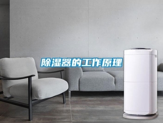 企业新闻除湿器的工作原理