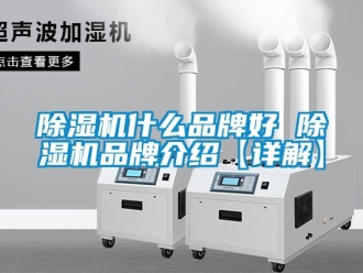 企业新闻除湿机什么品牌好 除湿机品牌介绍【详解】